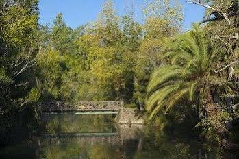 Termas Da Curia Spa Resort Zewnętrze zdjęcie