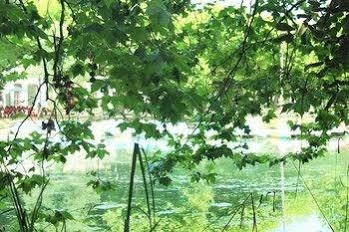 Termas Da Curia Spa Resort Zewnętrze zdjęcie
